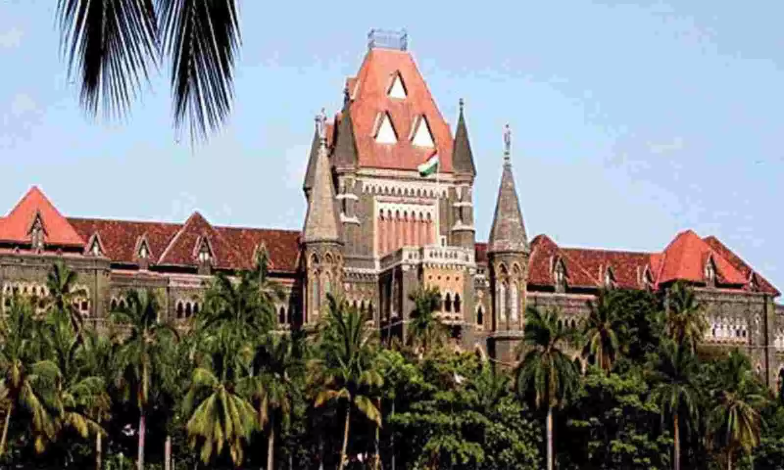 Bombay HC to BCCI: Your next big star might come from public ground