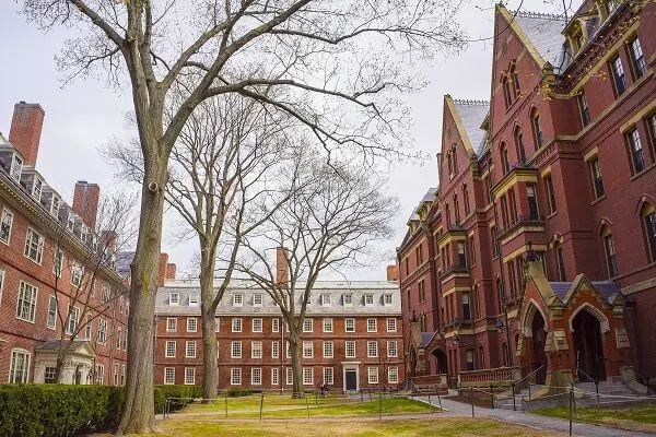 Harvard confesses it was guilty of slavery practices