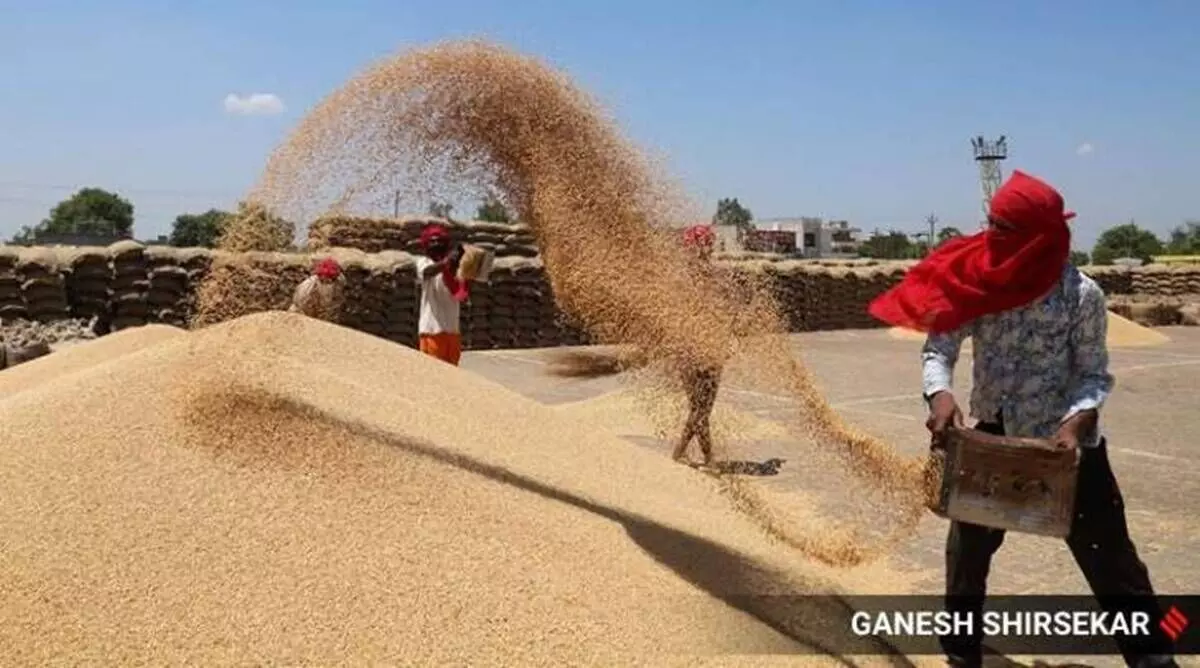 Wheat export ban: consignments registered by May 13 allowed to be shipped