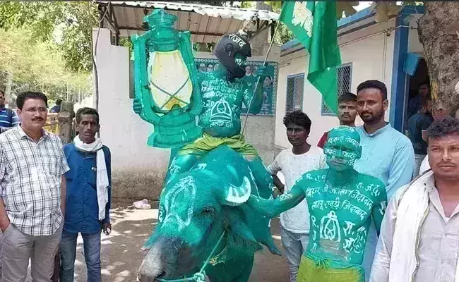 Lalu Yadavs supporters seen riding a buffalo in front of his home