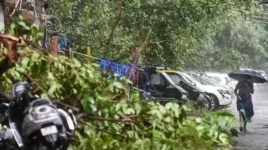 Delhi storm: Tree fall calls and Traffic chaos take over