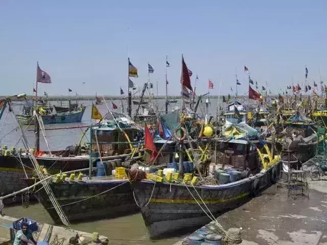 After high diesel prices and low fish rates, Gujarat fishing season ends