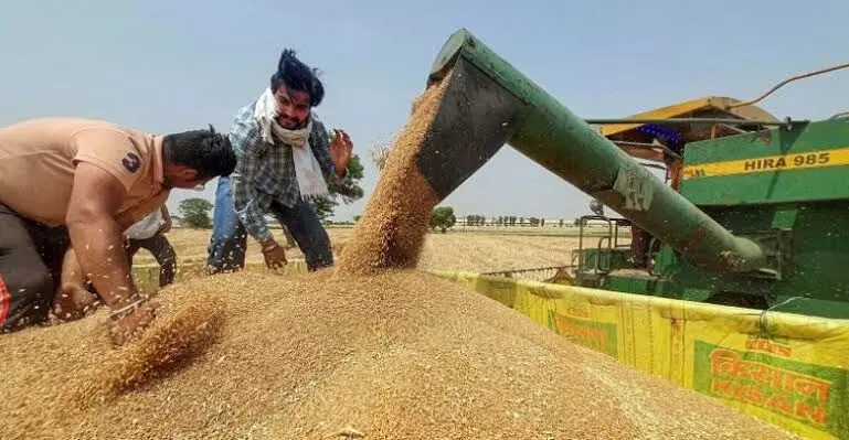 UAE suspends export of Indian wheat for four months