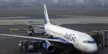 Delay in 55% IndiGo domestic flights; DGCA to probe mass sick leave on Air India recruitment day