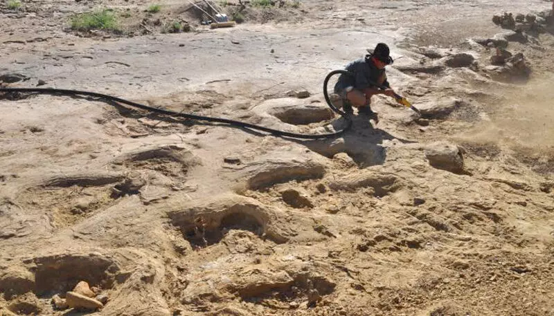 Over 1,000 dinosaur footprints found in Chile, Chances of a great project
