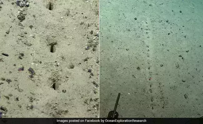 Discovery of mysterious holes on Atlantic Seafloor leaves scientists baffled