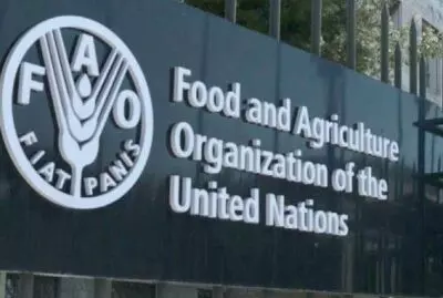 FAO announces a decline in Global food commodity prices