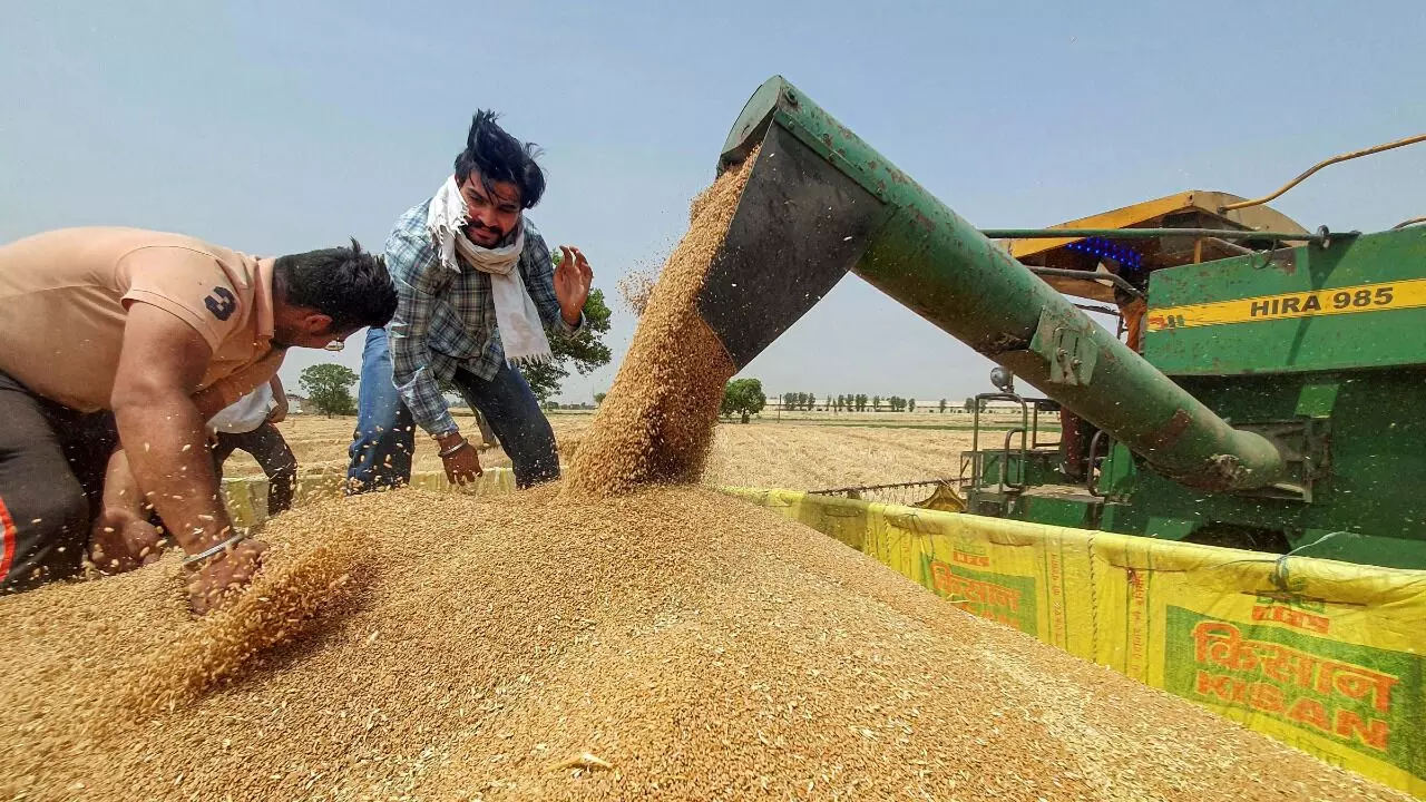 Wheat prices hit a record Rs 2,500 as the domestic market sees lower supply