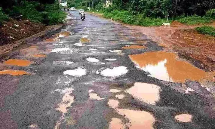 Kerala HC orders highway authority to fill potholes in state within one week