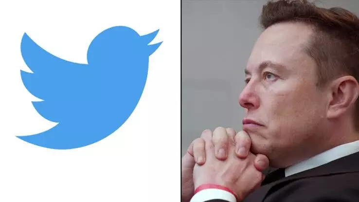 Elon Musk seeks to question Twitter employees who count bots, spam accounts