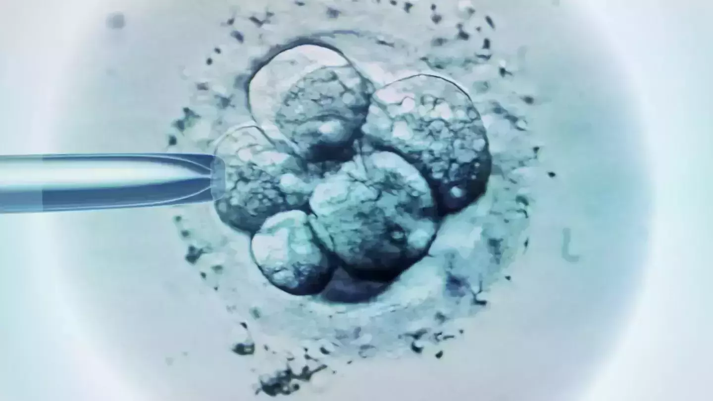 Scientists create first ever synthetic embryo, Calls for ethical concerns