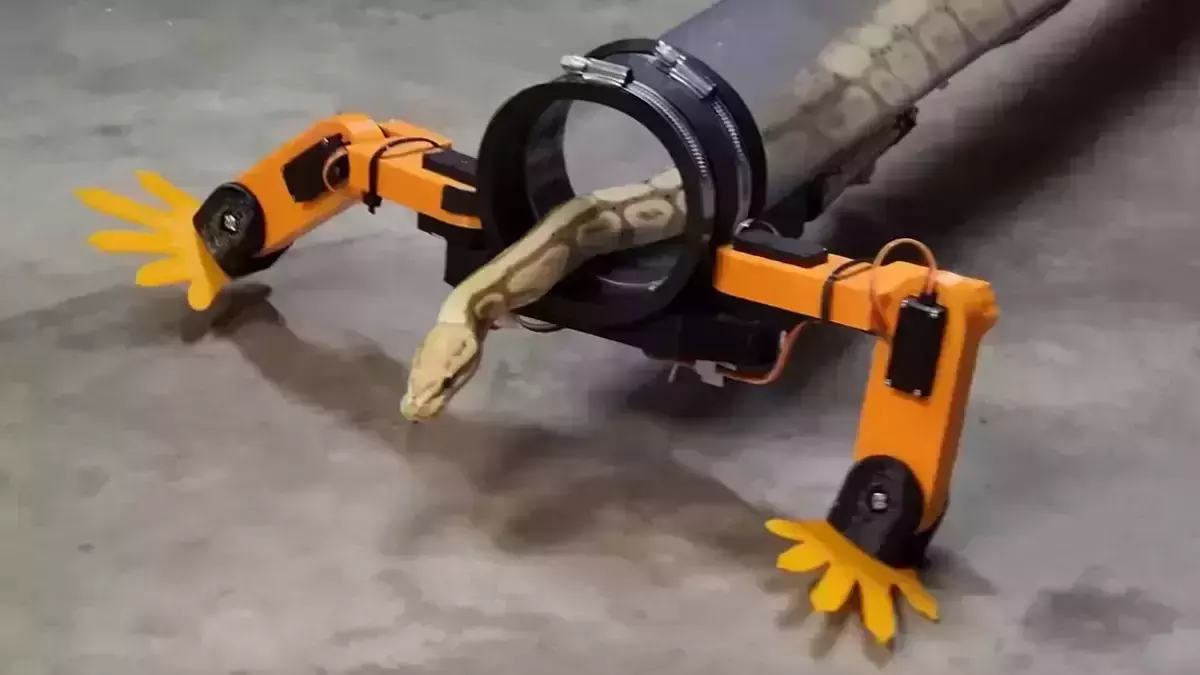 YouTuber invents robotic legs for snakes to walk, Netizens are impressed