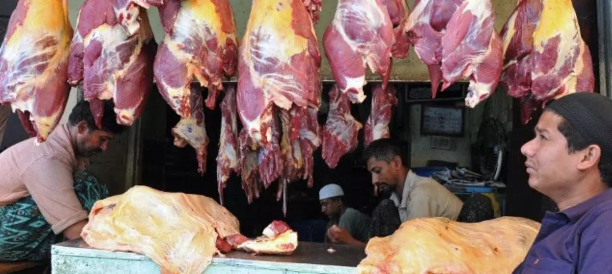 Closure of slaughterhouse for Jain festival: Gujarat HC asks petitioner to refrain from eating