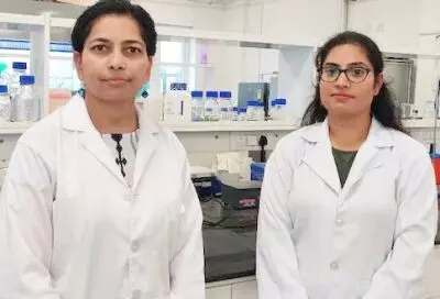 IIT team treats colorectal cancer using organic smart nanoparticles