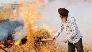 No funds from Centre to stop stubble burning: Punjab