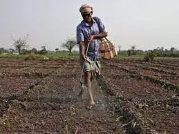 One farmer dies by suicide every hour in India, claims Congress