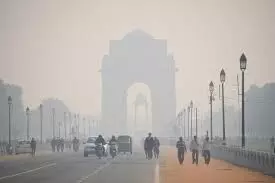 Delhi to launch 15-point action plan against air pollution