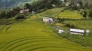 Arunachal CM shares landscape video, Netizens impressed with pristine Tawang