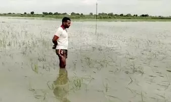 Rains: UP farmers lament crop loss of 100cr; survey claims just 4.5cr
