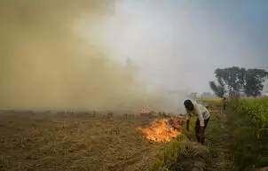 Record 2,131 farm fires reported in Punjab this season