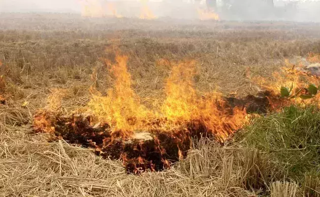 Inspection on stubble burning: Punjab farmers take official hostage