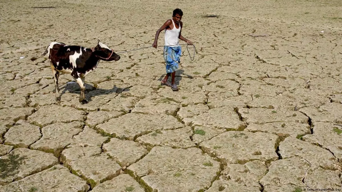 India on verge of devastating heatwaves beyond human survival: World Bank report