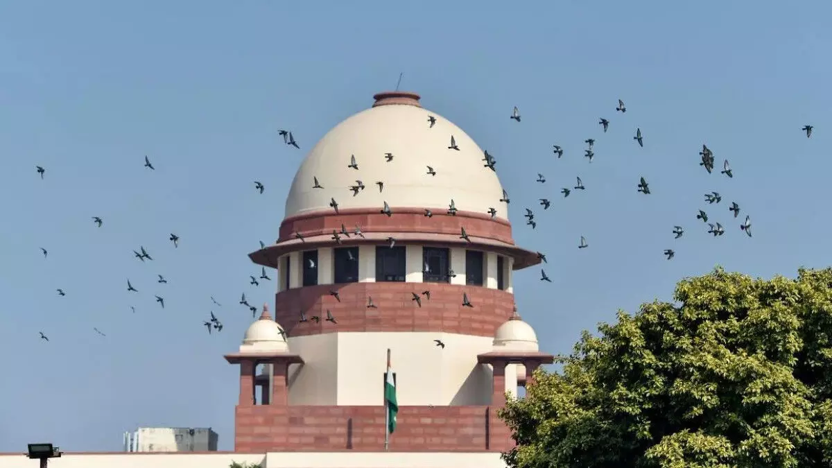 Many roles for the sake of food: SC rips news channels over hate speech