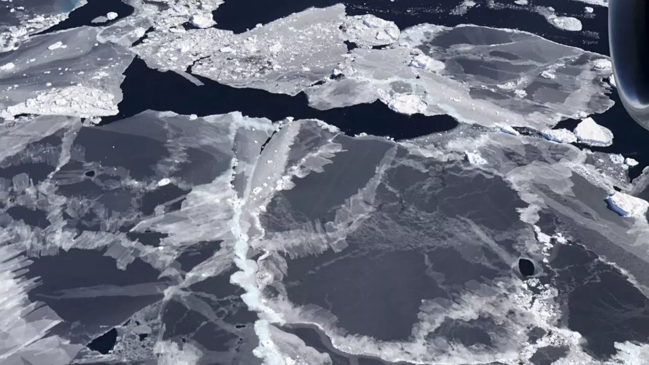 Antarctic sea ice falls to record low