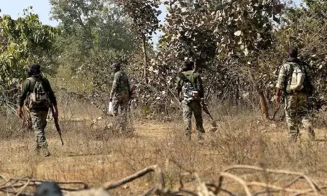 Chhattisgarhs new anti-Naxal policy: Kin of victims of Naxal violence to get Rs 20 lakh for agricultural land, government jobs
