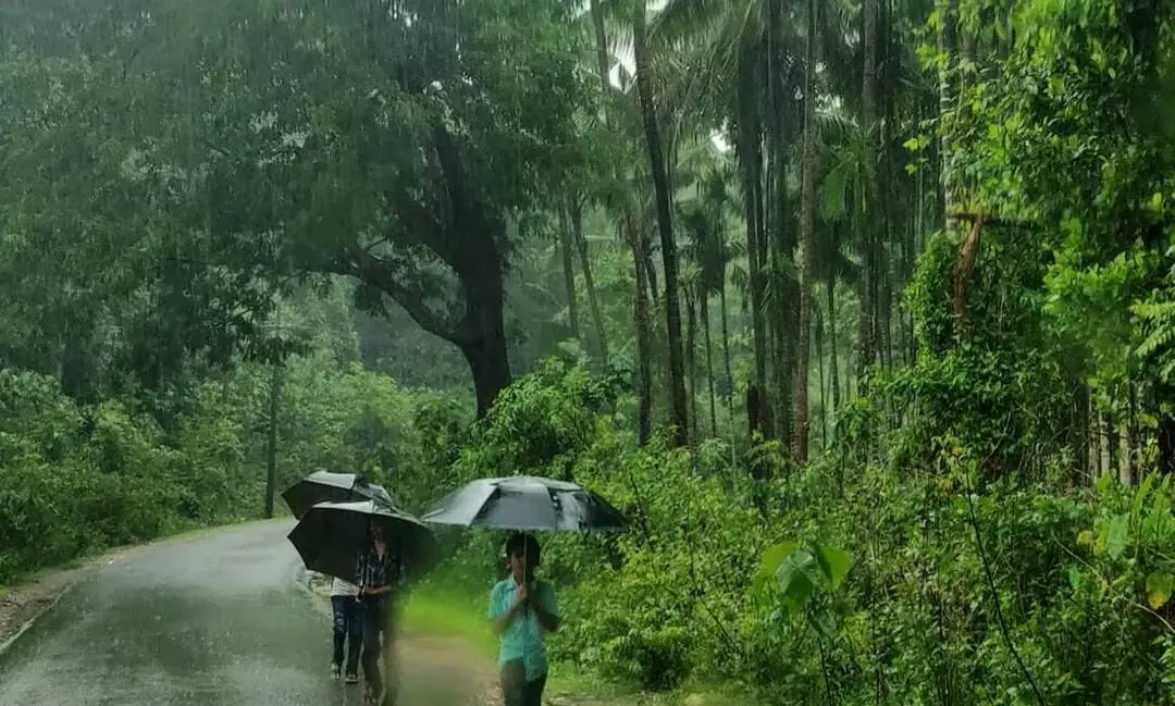 Monsoon to reach Kerala 4 days late: IMD