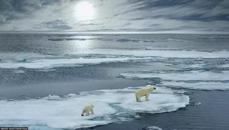 Scientists predict more sea-ice loss; find greater warmer inflow into Arctic in 2010s