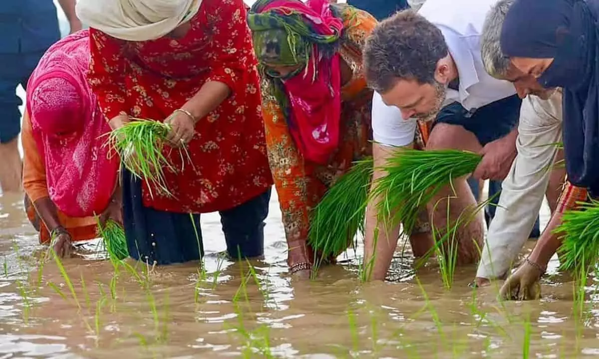 Farmers from Sonepat share lunch with Rahul Gandhi at Sonia Gandhis 10 Janpath residence