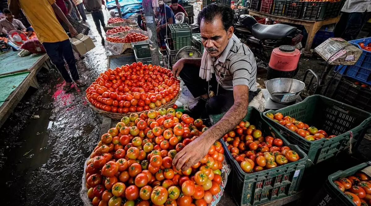 Centre cuts rate of subsidised tomatoes further in Delhi and surrounding areas