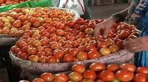 Officials let go vehicles smuggling tomatoes from Nepal, all suspended