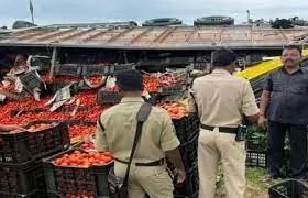 Tamil Nadu couple arrested for hijacking lorry with tomatoes worth Rs 2.5 lakhs