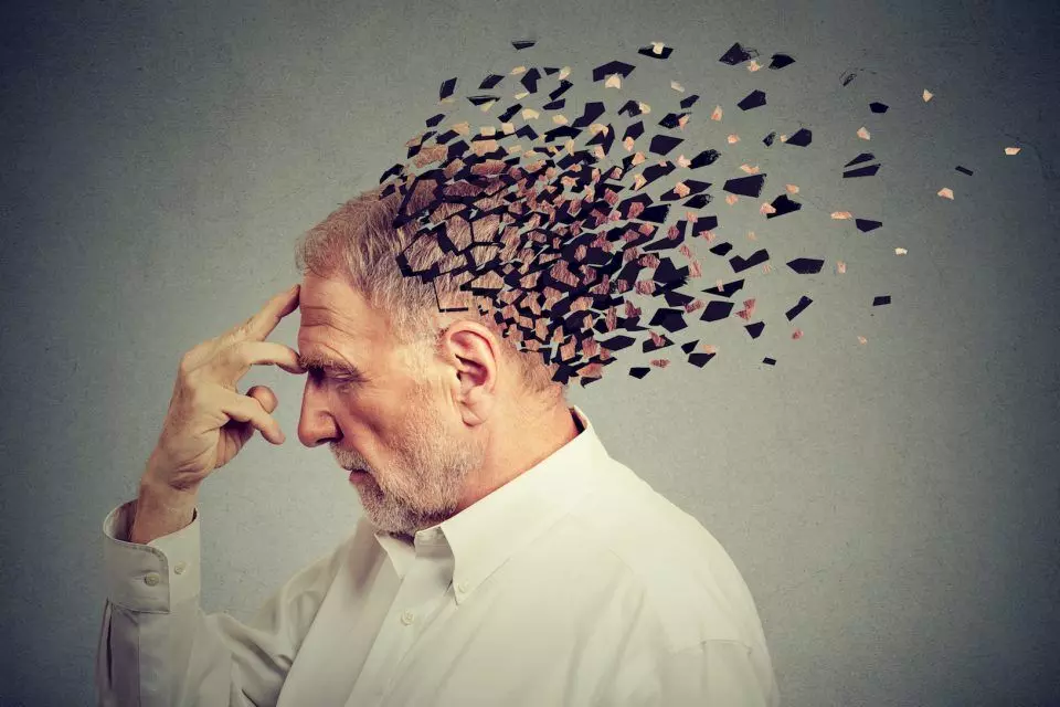 Decoding why cognitive functions decline with age