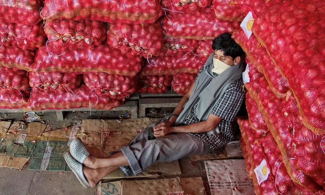 Centre bans Onion exports