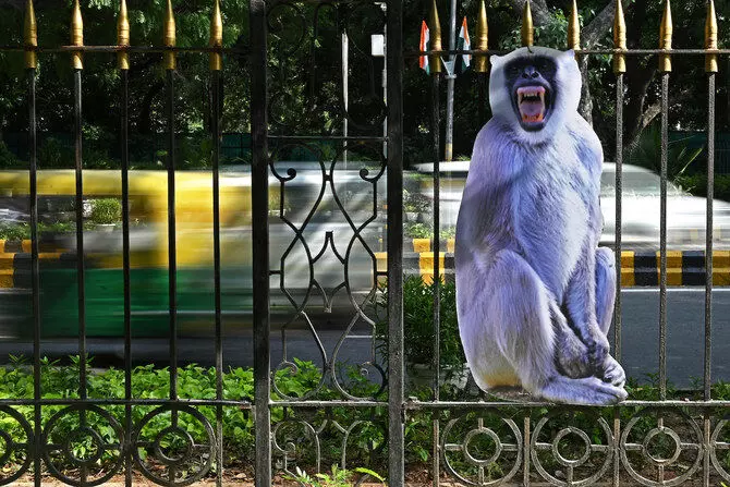 Fake monkeys to shoo real ones; Delhi gears up for G20 Summit