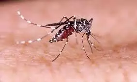 Dengue cases cross 13,000 mark in Bihar