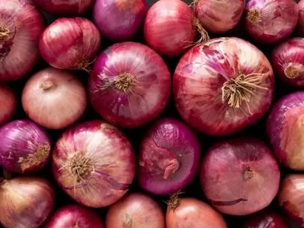 Centre imposes minimum export price of $800 per metric tonne on onion