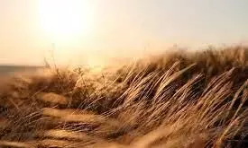 sand storm
