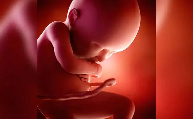 K’taka abortion racket: Probe reveals 3,000 female foetuses aborted