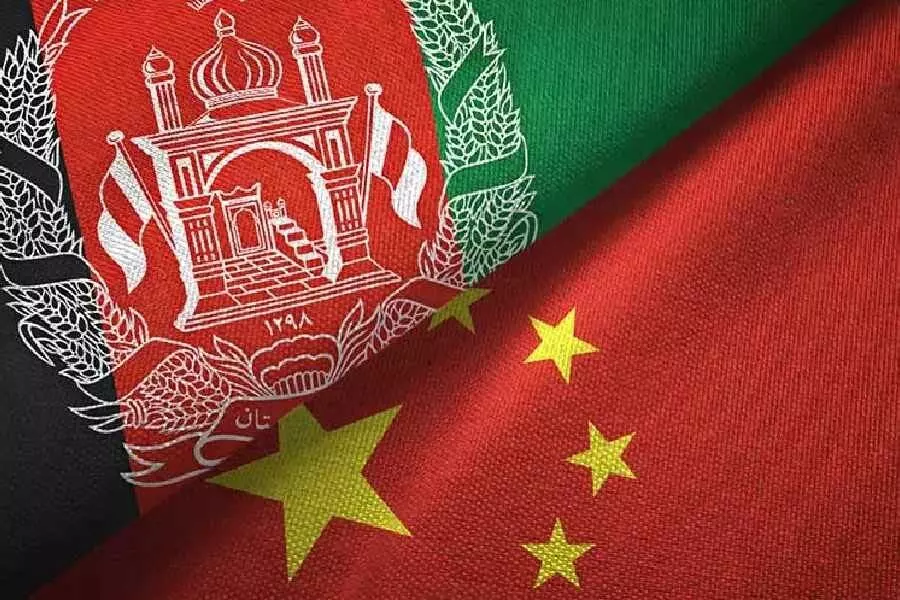 China formally recognises Taliban government in Afghanistan