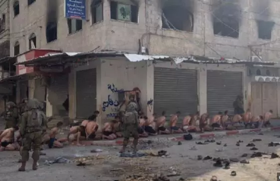 Video emerges of Israeli force parading Palestinians semi-naked