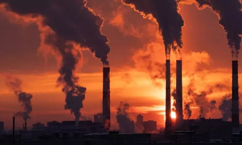 Pledges at COP28 arent enough to attain 1.5 C temperature: IEA