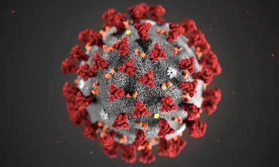 Anti-HIV drugs can resist variants of coronavirus: researchers