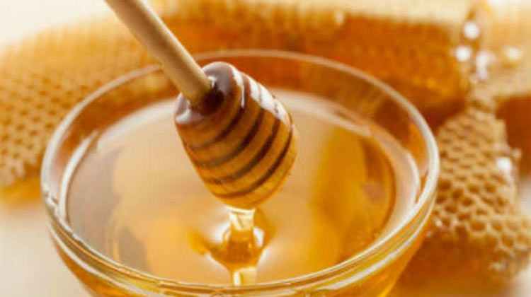 Govt launches honey season
