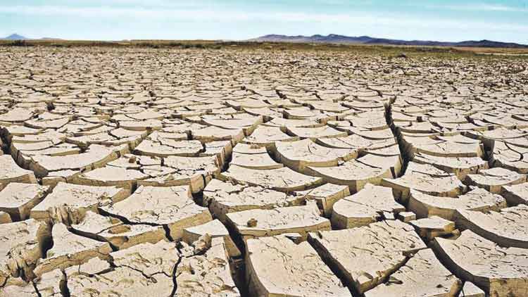 Rain-deficit 23 districts in Karnataka declared drought-hit