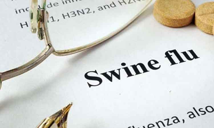 H1N1 on rise in the State; claims 23 lives this year