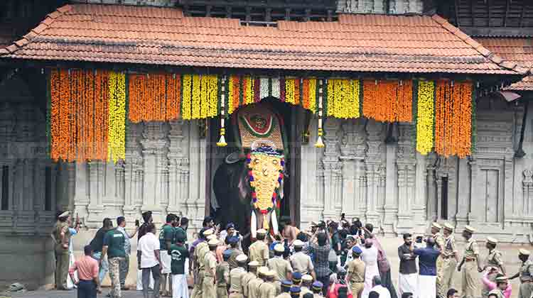 Ban on parading of elephants has temple organisers in a fix